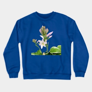 Hosta in Bloom Crewneck Sweatshirt